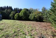 Vom Traum zum Zuhause – 821 m² Lebensfreude in Steinhaus - Grundstück mit vielen Möglichkeiten