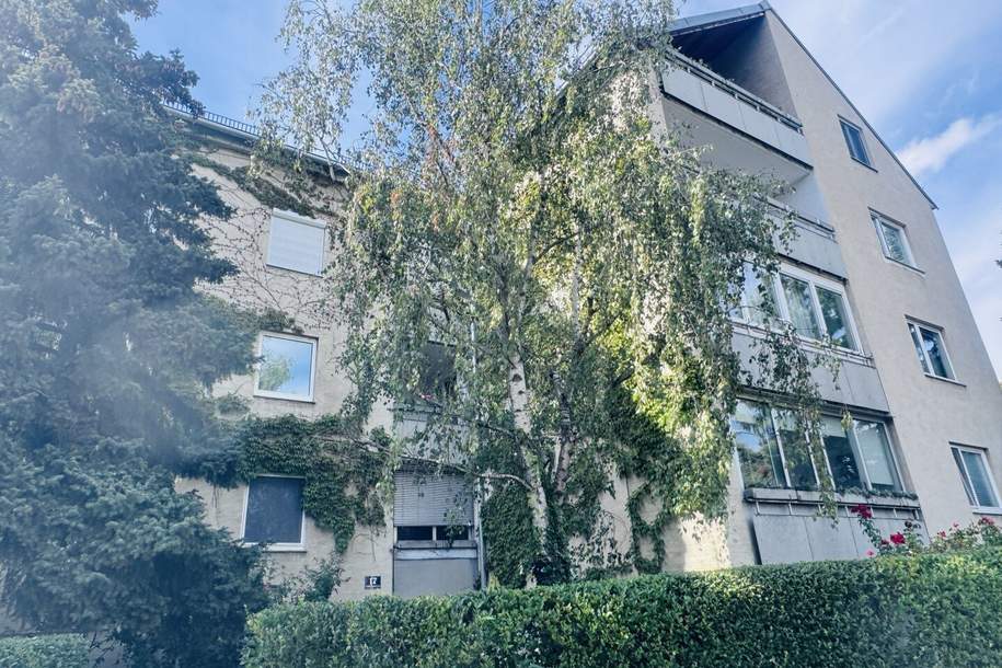 Großzügige, helle 2-Zimmer-Wohnung in Grünruhelage nahe Türkenschanzpark, Wohnung-kauf, 494.000,€, 1180 Wien 18., Währing