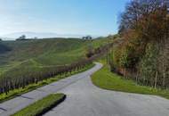 IN SLOWENIEN - Weingut in spektakulärer Alleinlage mit traumhafter Aussicht!