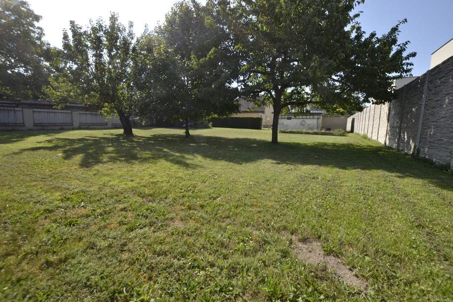 Gartengrundstück 703 m² mit Althaus, Grund und Boden-kauf, 2442 Baden