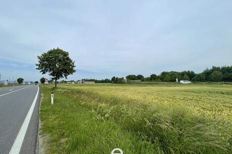 Betriebsbaugebiet in Amstetten Ost (direkt an der A1) zu verkaufen, Grund und Boden-kauf, 1.964.775,€, 3372 Melk