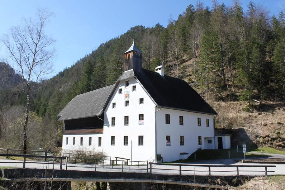 Büro, Seminar, Wohnen, in Wunderschöner Landschaft!, Gewerbeobjekt-kauf, 8924 Liezen