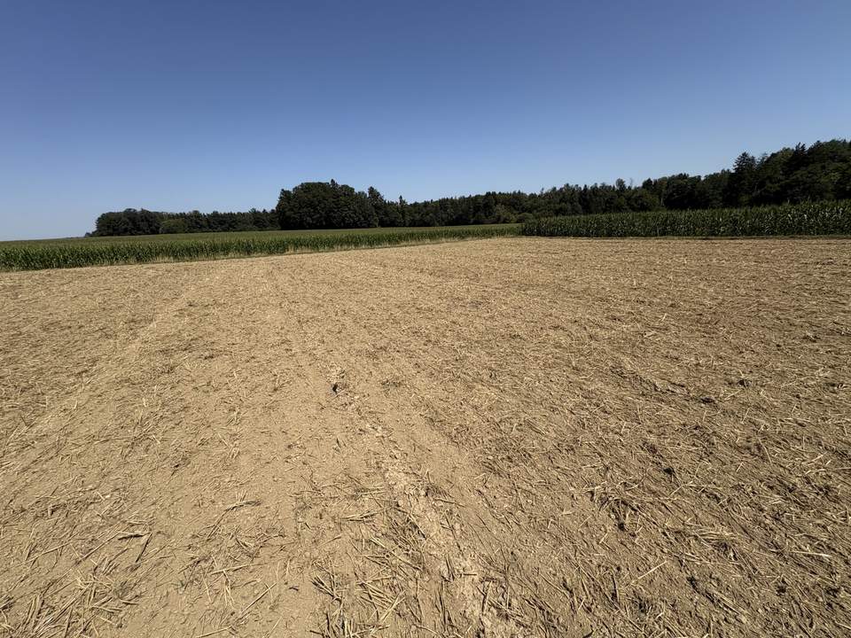 landwirtschaftliche Nutzgründe
