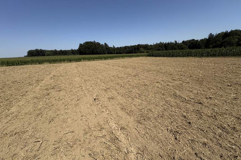 landwirtschaftliche Nutzgründe, Grund und Boden-kauf, 216.000,€, 5134 Braunau am Inn