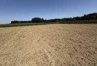 landwirtschaftliche Nutzgründe