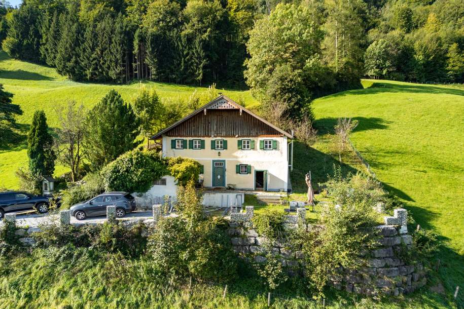 Außergewöhnliches Einfamilienhaus in exklusiver Alleinlage und Panoramablick, Haus-kauf, 750.000,€, 5400 Hallein