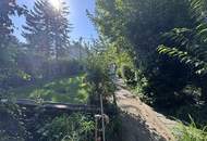 IHR RÜCKZUGSORT AN DER ALTEN DONAU - CHARMANTES HAUS AUF EIGENGRUND