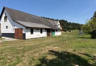 Kleinlandwirtschaft - Pferdehaltung, Tierhaltung in Nestelbach bei Graz