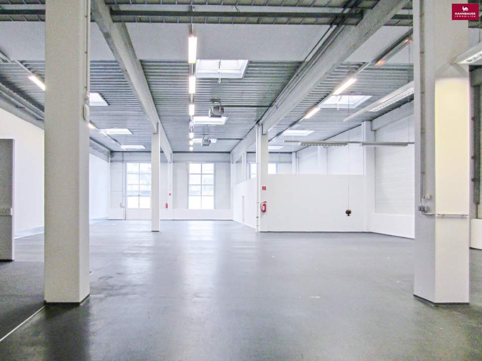 Lagerhalle 430 m2 + Büro 230 m2 Kombination südlich von Wien, in Wr. Neudorf