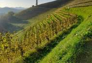 Traumhaftes Ferienhaus am Sulmsee