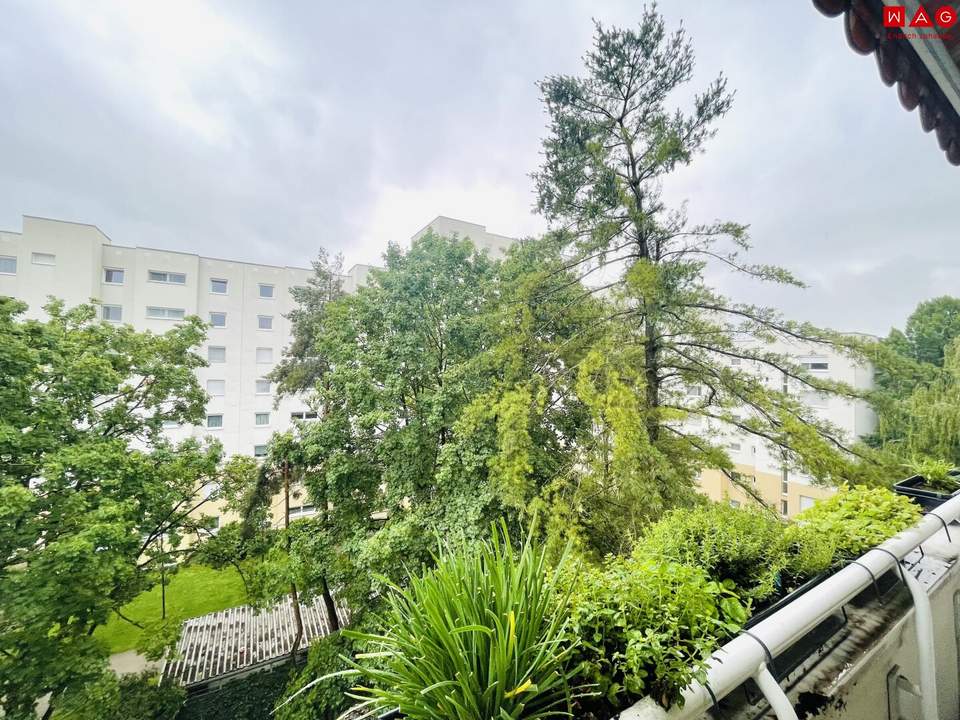 Wohnkomfort in der obersten Etage – 2-Zimmer-Wohnung mit geschützter Loggia in Linz/Oed! ACHTUNG Wohnung wird soeben saniert! Bezug 01. September 2026!