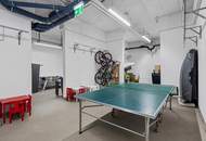 Penthouse Feeling in Gersthof mit zwei Sonnenterrassen, eigenem Park und einzigartiger Ruhelage