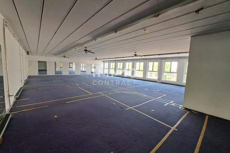 ++Großzügige Gewerbefläche in hochfrequentierter Lage / Staffelmiete++, Gewerbeobjekt-miete, 2.877,00,€, 4052 Linz-Land