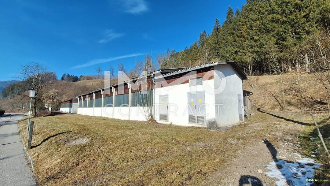 Lager-, Montage- u.o. Produktionshallen mit Freiflächen in Opponitz - Ybbstal zu mieten