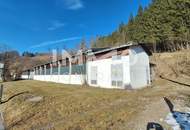 Lager-, Montage- u.o. Produktionshallen mit Freiflächen in Opponitz - Ybbstal zu mieten