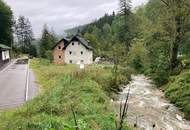Bastlerhit für kreative Köpfe, ideal für Bastler und geschickte Handwerker, kleines Landhaus für Naturliebhaber!