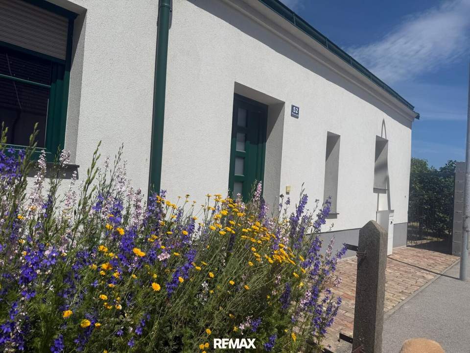 Modernes Miethaus mit uneinsehbarem Garten und Terrasse