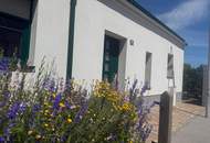 Modernes Miethaus mit uneinsehbarem Garten und Terrasse