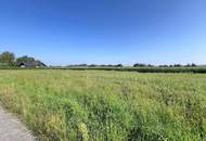 Ebener Baugrund in sonniger Ortsrandlage