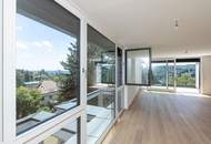 Dacherstbezug mit spektakulärem Wienblick, Terrassen & Dachterrasse in "WOLKE sieben"