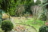 174m² Garten, Altbaucharme - Nähe Hauptplatz, vermietet bis 10/2029