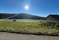 Sonniges Baugrundstück in Albersdorf – 740 qm - Privatverkauf (Provisionsfrei)