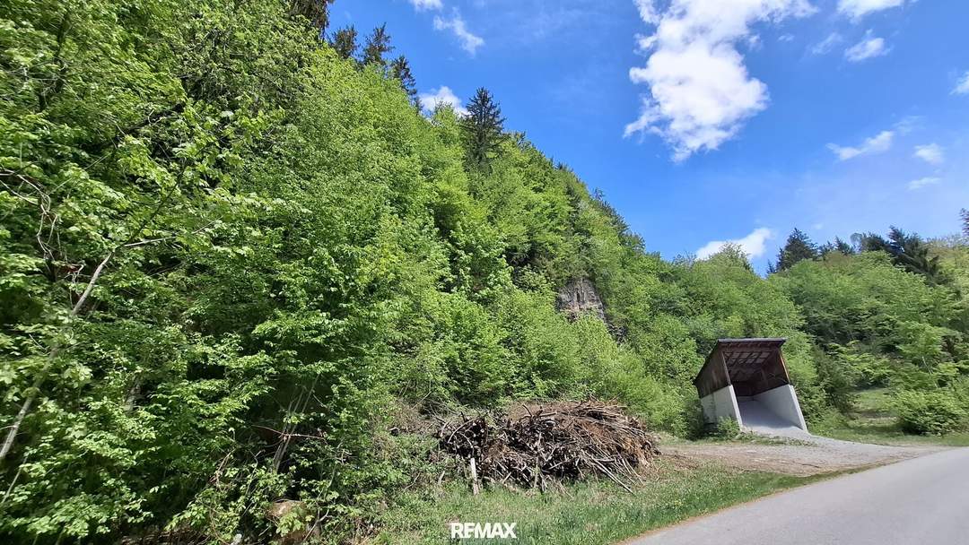 Weitläufiges Waldgrundstück in der Soisgegend - Kirchberg an der Pielach