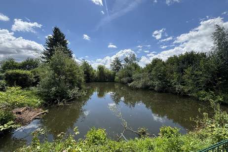 Sonniges Freizeitgrundstück mit idyllischem Teich in begehrter Lage von Wels-Puchberg, Grund und Boden-kauf, 115.000,€, 4600 Wels(Stadt)