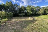 PREISGESENKT - GRÜN. GROSSZÜGIG. VIELSEITIG. Einfamilienhaus mit Potential, 5 Zimmer, Wohnküche, 1139 m2 Grundstück, Nebengebäude