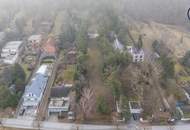 Wo die Seele ihr Zuhause findet: Ein Kunstwerk zwischen Wald und Wien