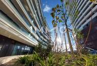 Pretty and bright studio and balcony apartment in a luxurious building for rent!