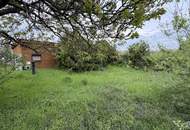 „Grüne Oase mit Perspektive – Kleingartenparzelle in Wien mit geplanter Umwidmung“ | ZELLMANN IMMOBILIEN