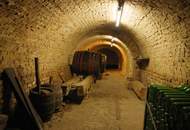 Einzigartiges Haus in Südlage mit unverbaubarem Fernblick auf leichter Hanglage