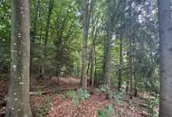 Idyllisches Grundstück am Ende einer Sackgasse – sonniger Bauplatz mit eigenem Wald