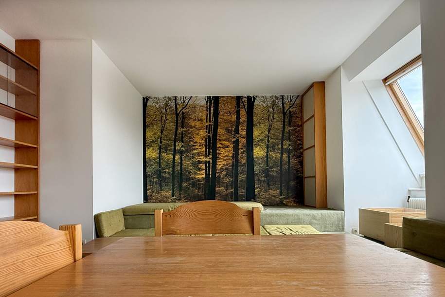 Möblierte 2 Zimmer DG-Wohnung Nähe U4 Ober St. Veit, Wohnung-miete, 890,00,€, 1130 Wien 13., Hietzing