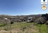 Preissenkung! Förthof: Winzerhaus mit großem Garten und Donaublick