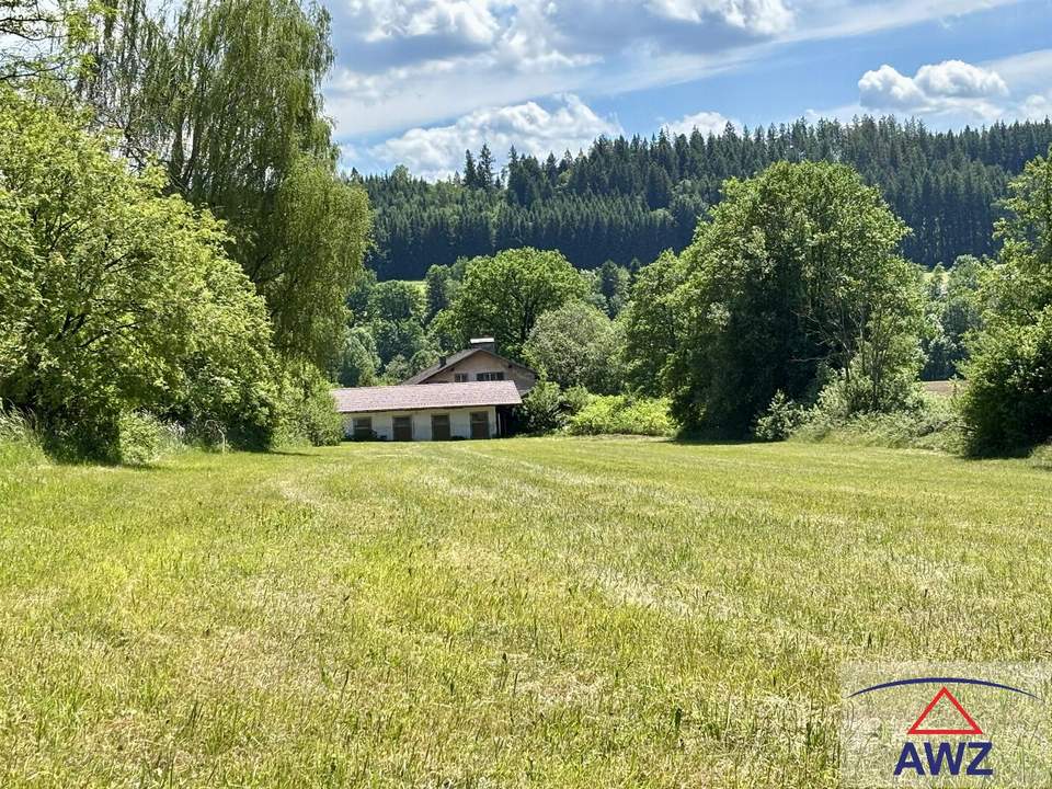 Seltene Gelegenheit: Forsthaus mit Pferdestall und großem Grundstück in Waldrandlage!