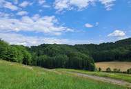Die eigene Ranch auf 9,2ha Grund und Wald verwirklichen (Provisionsfrei)