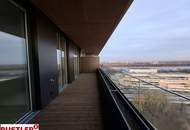 Sundowner über den Dächern!