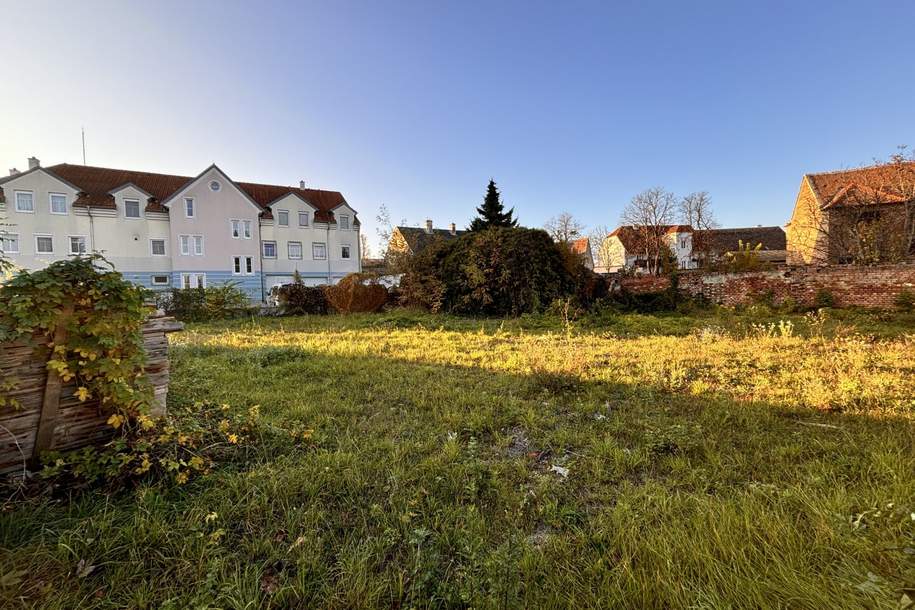 Grundstück in Laa an der Thaya! In Zentrumslage | Optimal für ein Mehrfamilien- und Einfamilienhaus, Grund und Boden-kauf, 120.000,€, 2136 Mistelbach