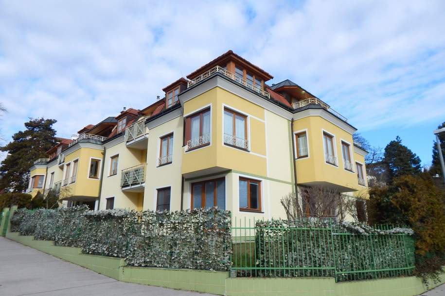 Sanierte Dachterrassenwohnung mit Fernblick in der Kaasgrabengasse, Wohnung-miete, 2.490,00,€, 1190 Wien 19., Döbling