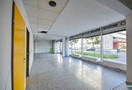 Geschäftsfläche – 310 m² am Erlaaer Platz