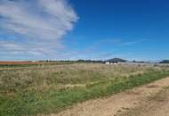 Grundstück am Ortsrand von Nickelsdorf - in ruhiger Lage, mit Weitblick