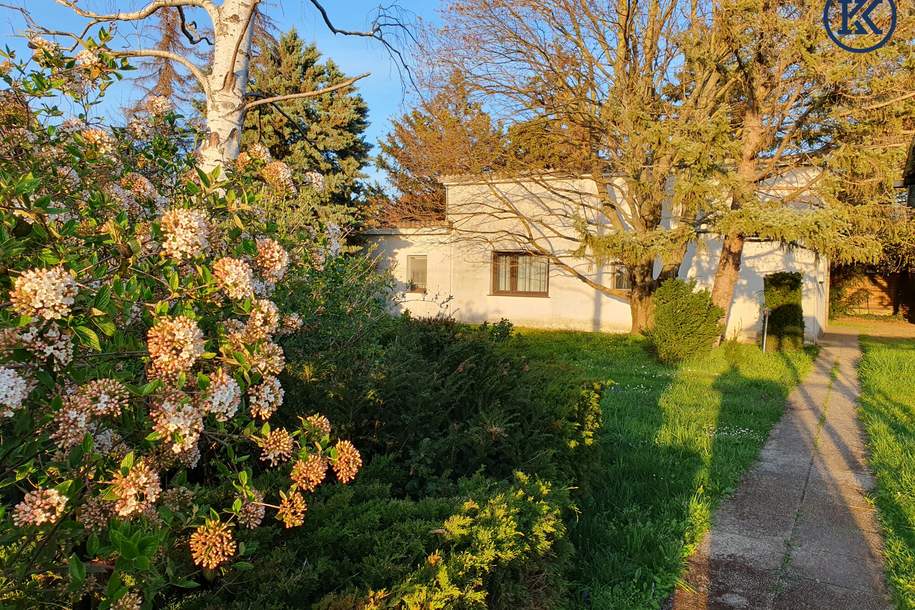 Ein Platz für neue Geschichten, Grund und Boden-kauf, 650.000,€, 1220 Wien 22., Donaustadt