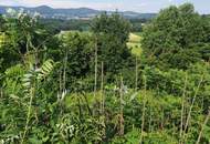 Sonniges Baugrundstück mit Aussicht im Naturpark Pöllauer Tal – nahe Hartberg