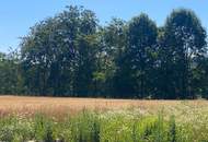 ERSTBEZUG: Doppelhaushälfte in sonniger, ruhiger Lage – nur 15 Minuten von Graz entfernt!