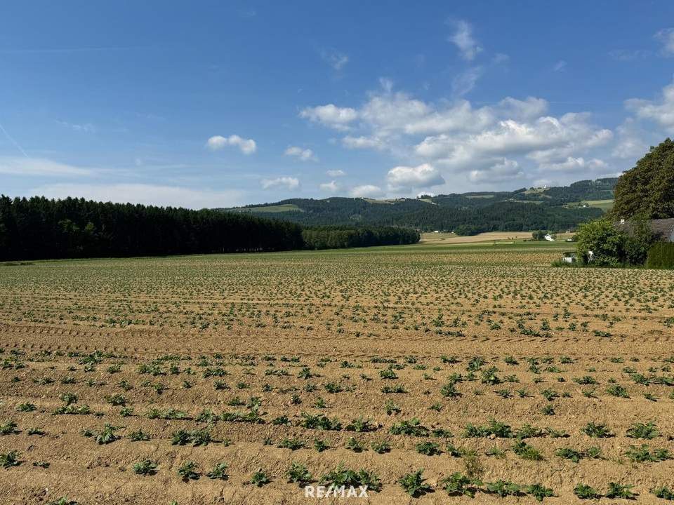 Attraktives Baugrundstück mit Entwicklungspotenzial – schöne Lage in St. Marein Nähe Wolfsberg