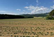 Attraktives Baugrundstück mit Entwicklungspotenzial – schöne Lage in St. Marein Nähe Wolfsberg