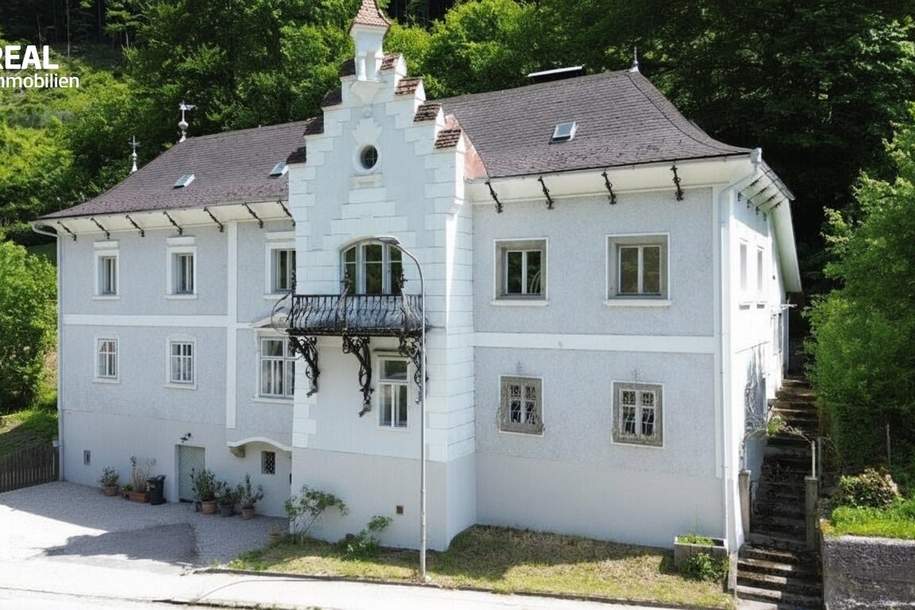 Beeindruckende Hammerherren Villa mit Weinkeller, Haus-kauf, 649.000,€, 3340 Waidhofen an der Ybbs(Stadt)
