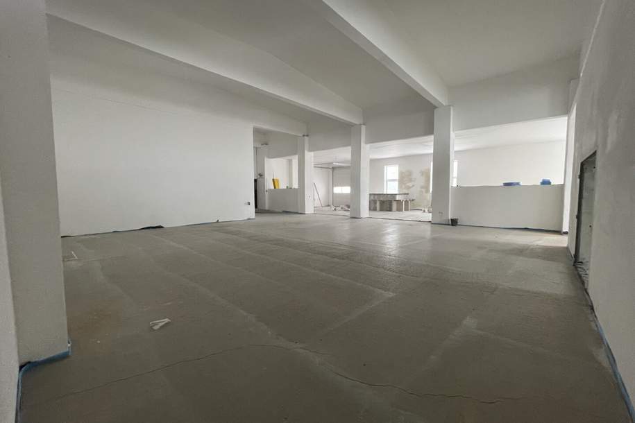 Helle Gewerbehalle mit Verkaufsraumcharakter in 2601 Sollenau bald zu vermieten, Gewerbeobjekt-miete, 2.970,00,€, 2601 Wiener Neustadt(Land)